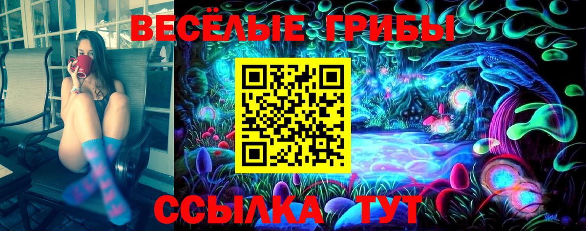 Псилоцибиновые грибы GOLDEN TEACHER Соликамск