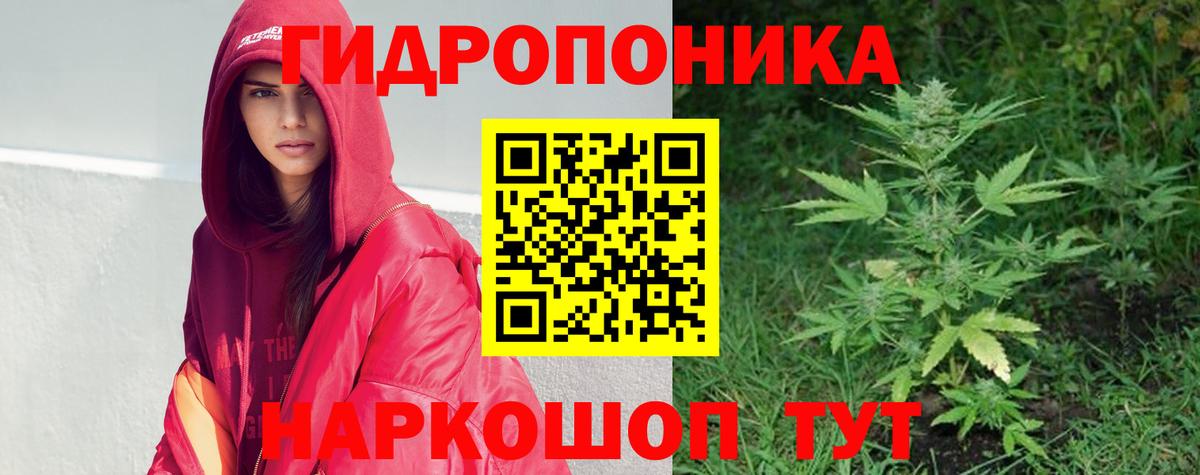 Бошки Шишки марихуана Соликамск